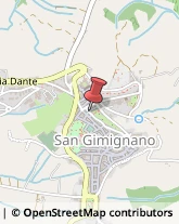 Giardinaggio - Servizio San Gimignano,53037Siena