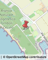 Campeggi, Villaggi Turistici e Ostelli,57023Livorno