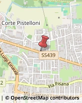 Assicurazioni,55100Lucca