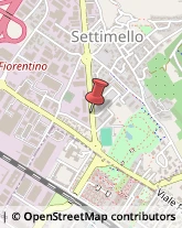 Molini,50041Firenze