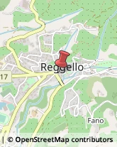 Comuni e Servizi Comunali Reggello,50066Firenze