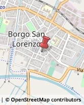 ,50032Firenze