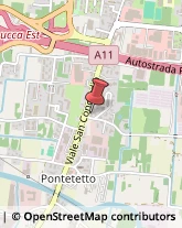 Corrieri Lucca,55100Lucca
