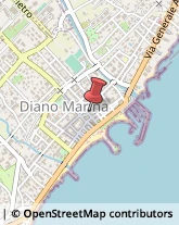 Trasporto Disabili Diano Marina,18013Imperia