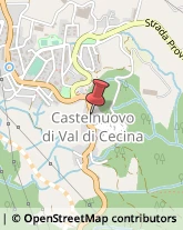 ,56041Pisa