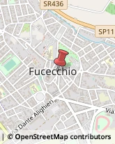 Musei e Pinacoteche Fucecchio,50054Firenze