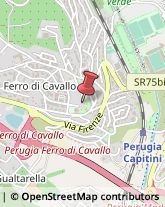 Scuole Pubbliche,06127Perugia