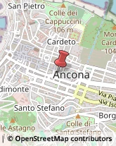 Angiologia - Medici Specialisti,60121Ancona