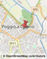 Associazioni Sindacali Poggio a Caiano,59016Prato