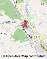 Stufe Capannori,55012Lucca