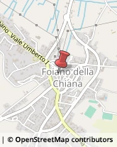 Erboristerie Foiano della Chiana,52045Arezzo