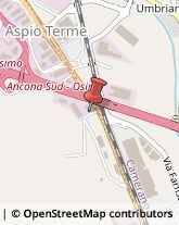 Trasporti Internazionali,60027Ancona