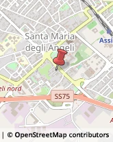 Formaggi e Latticini - Dettaglio Assisi,06081Perugia