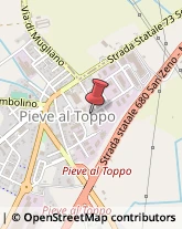 Autotrasporti,37030Arezzo