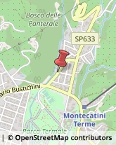 Traduttori ed Interpreti Montecatini Terme,51016Pistoia