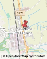 Elettrauto Arezzo,52100Arezzo