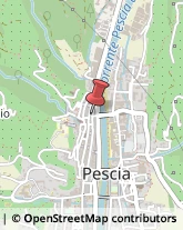 Borse - Dettaglio Pescia,51017Pistoia