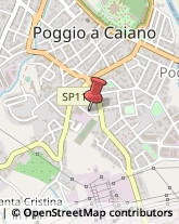 ,59016Prato