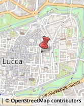 Associazioni ed Organizzazioni Religiose Lucca,55100Lucca