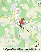 Abbigliamento Cartoceto,61030Pesaro e Urbino