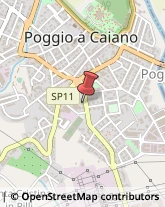 Palestre e Centri Fitness,59016Prato