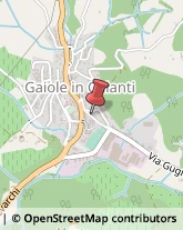 Autoscuole Gaiole in Chianti,53013Siena