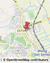 Ortofrutticoltura Monte San Savino,52048Arezzo