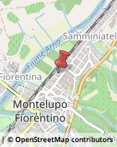 Alimenti Conservati Montelupo Fiorentino,50056Firenze