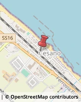 Massaggi Senigallia,60019Ancona