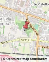 Lavatrici e Lavastoviglie per Comunità Lucca,55100Lucca