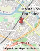 Importatori ed Esportatori Montelupo Fiorentino,50056Firenze