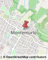 Partiti e Movimenti Politici Montemurlo,59013Prato