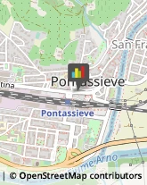 Piante e Fiori - Dettaglio Pontassieve,50065Firenze