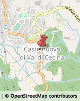 ,56041Pisa