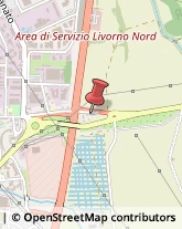 Agenzie di Animazione e Spettacolo Livorno,57121Livorno