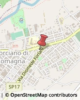 Tabaccherie Morciano di Romagna,47833Rimini