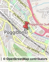 Logopedia Poggibonsi,53036Siena