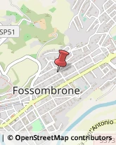 Pelletterie - Ingrosso e Produzione Fossombrone,61034Pesaro e Urbino