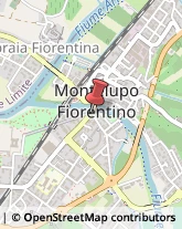 Toner, Cartucce e Nastri Montelupo Fiorentino,50056Firenze