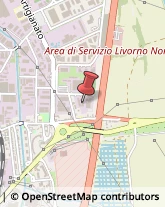 Portatori di Handicap e Rieducazione Fisiologomotoria - Scuole Livorno,57121Livorno