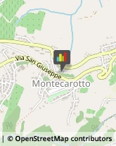 Bar e Caffetterie Montecarotto,60041Ancona