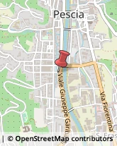 Istituti Finanziari Pescia,51017Pistoia