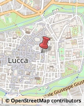 Internet - Hosting e Grafica Web Lucca,55100Lucca