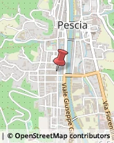 Internet - Provider Pescia,51017Pistoia