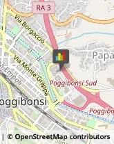 Pensioni Poggibonsi,53036Siena