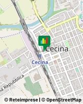 Istituti di Bellezza Cecina,57023Livorno