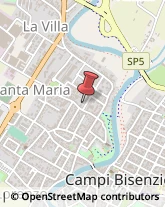 Spezie Campi Bisenzio,50013Firenze