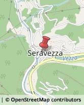 Protezione Civile - Servizi Seravezza,55047Lucca