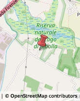 Campeggi, Villaggi Turistici e Ostelli Altopascio,55011Lucca