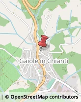 Pizzerie Gaiole in Chianti,53013Siena